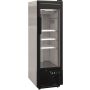  Tiefkühlschrank mit Glastür Modell EK 199  kaufen