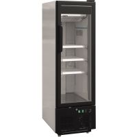  Tiefkühlschrank mit Glastür Modell EK 199  kaufen