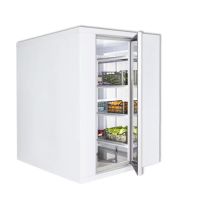  Tiefkühlzelle / Tiefkühlhaus 120 mm - 2010 mm hoch  kaufen